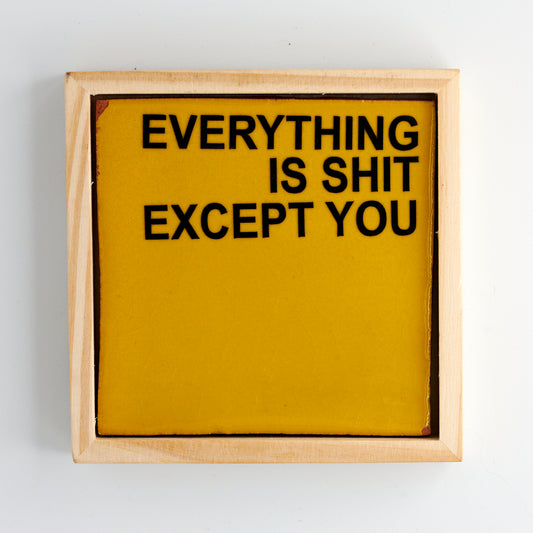 EVERYTHING IS SHIT EXCEPT YOU