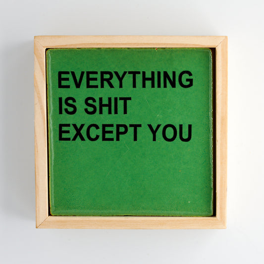 EVERYTHING IS SHIT EXCEPT YOU